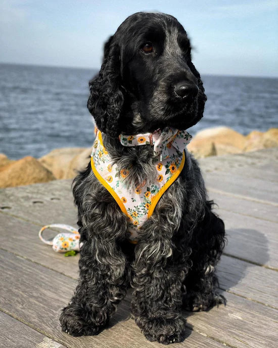 Sunflower Child Velvet Harness