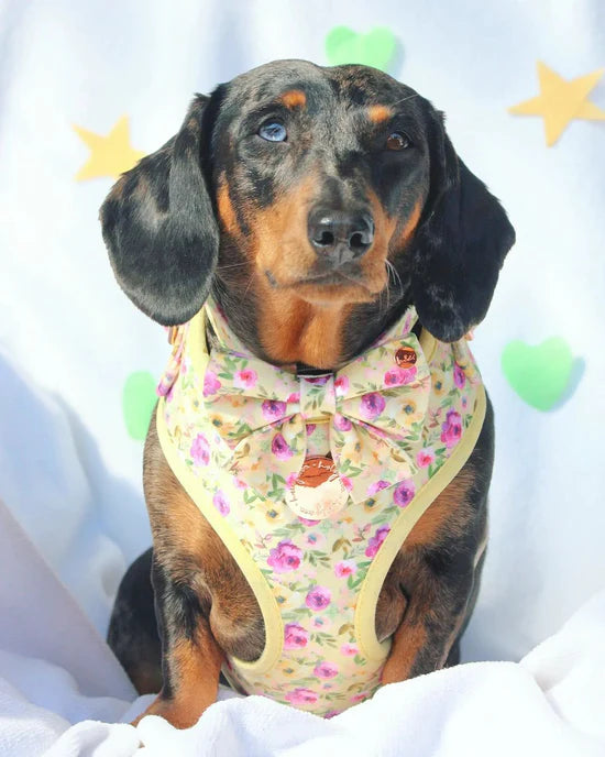 Nonna's Garden Velvet Sailor Bow Tie