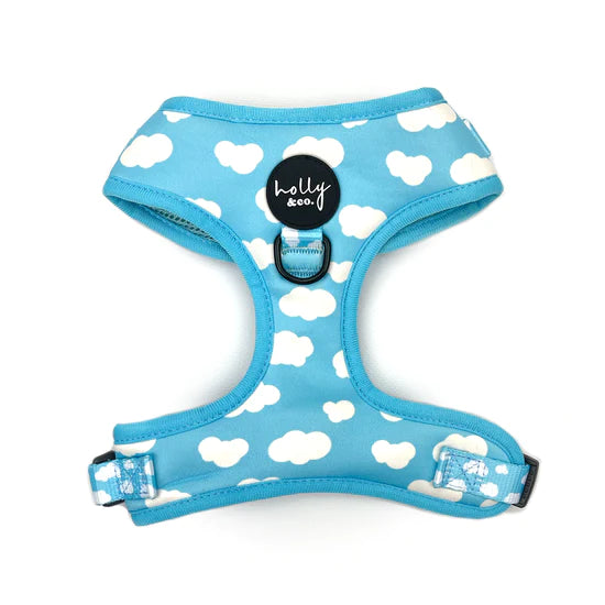 Reach For The Sky Harness