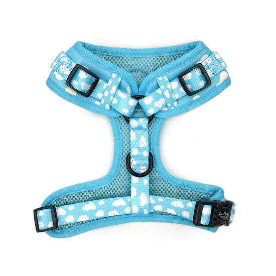 Reach For The Sky Harness