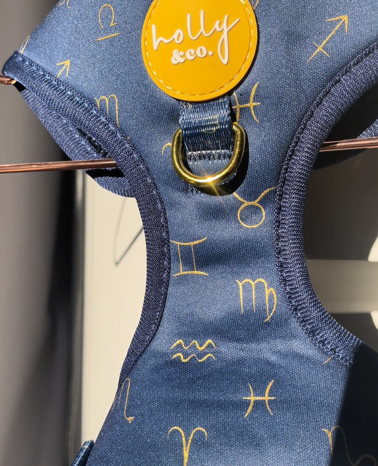 Zodiac Harness