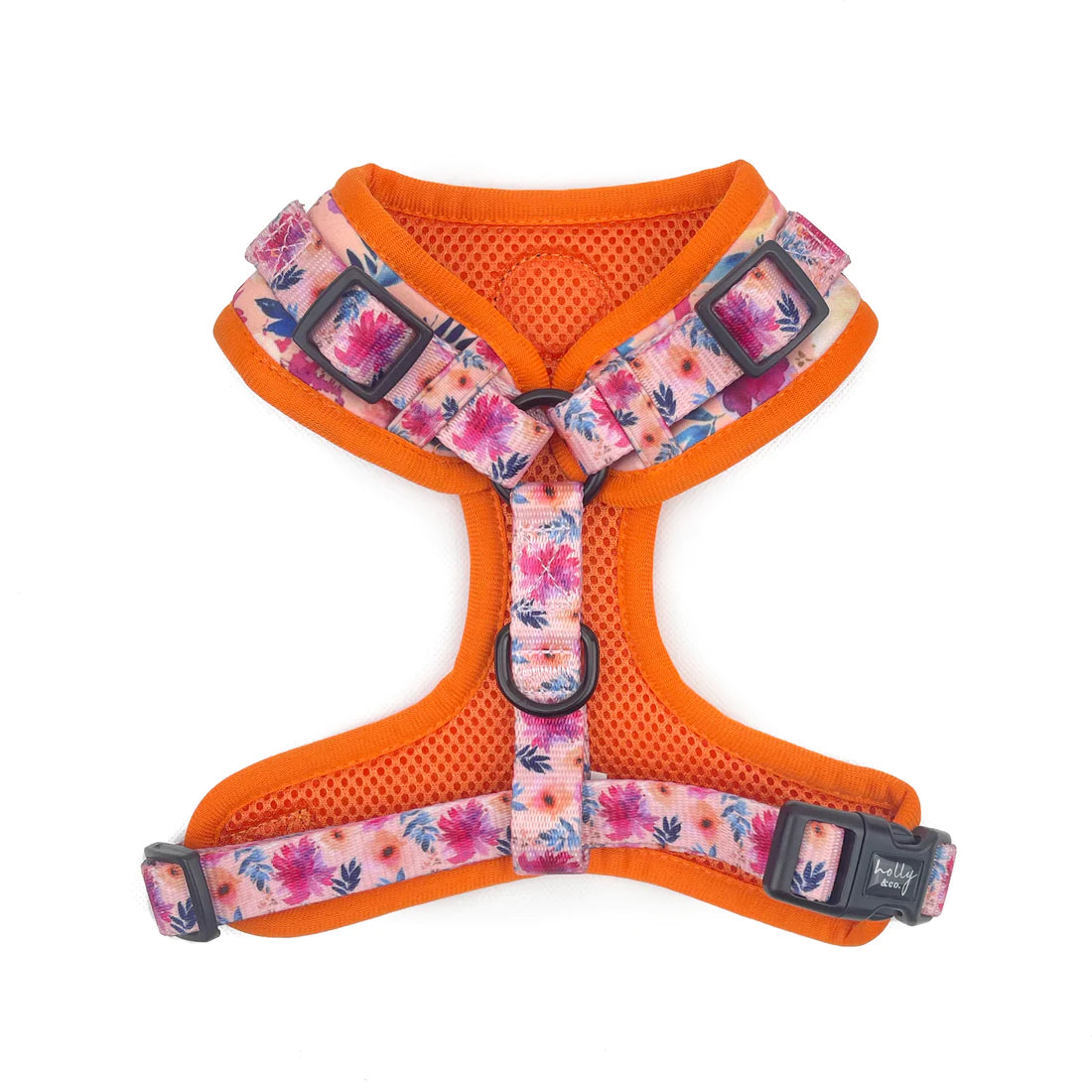 Sweet Coraline Harness