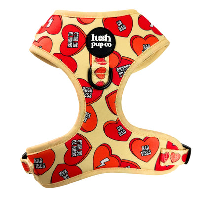 Rad Candy Heart Adjustable Harness