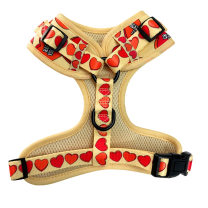 Rad Candy Heart Adjustable Harness
