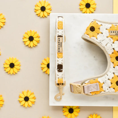 Sunflower Patch Leash