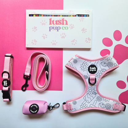 Sugar Rush Pink Leash