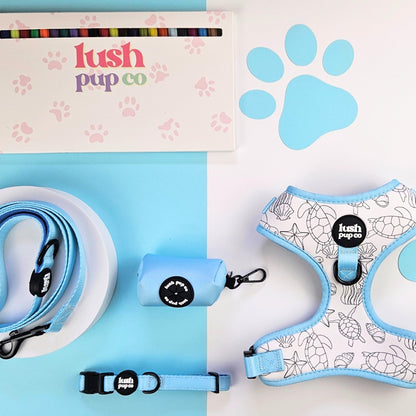 Winter Breeze Blue Leash