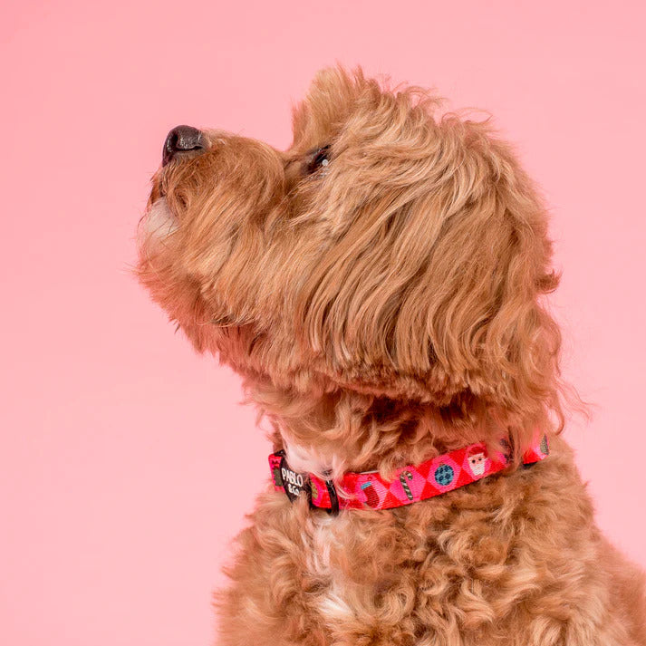 Christmas Cheer Dog Collar