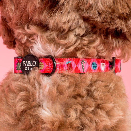 Christmas Cheer Dog Collar