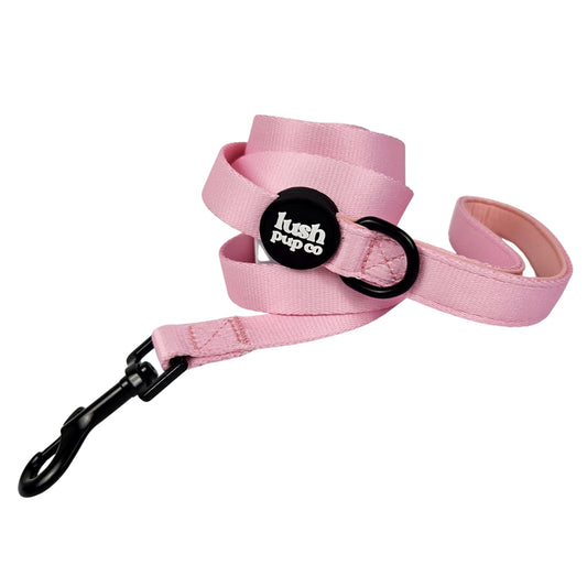 Sugar Rush Pink Leash