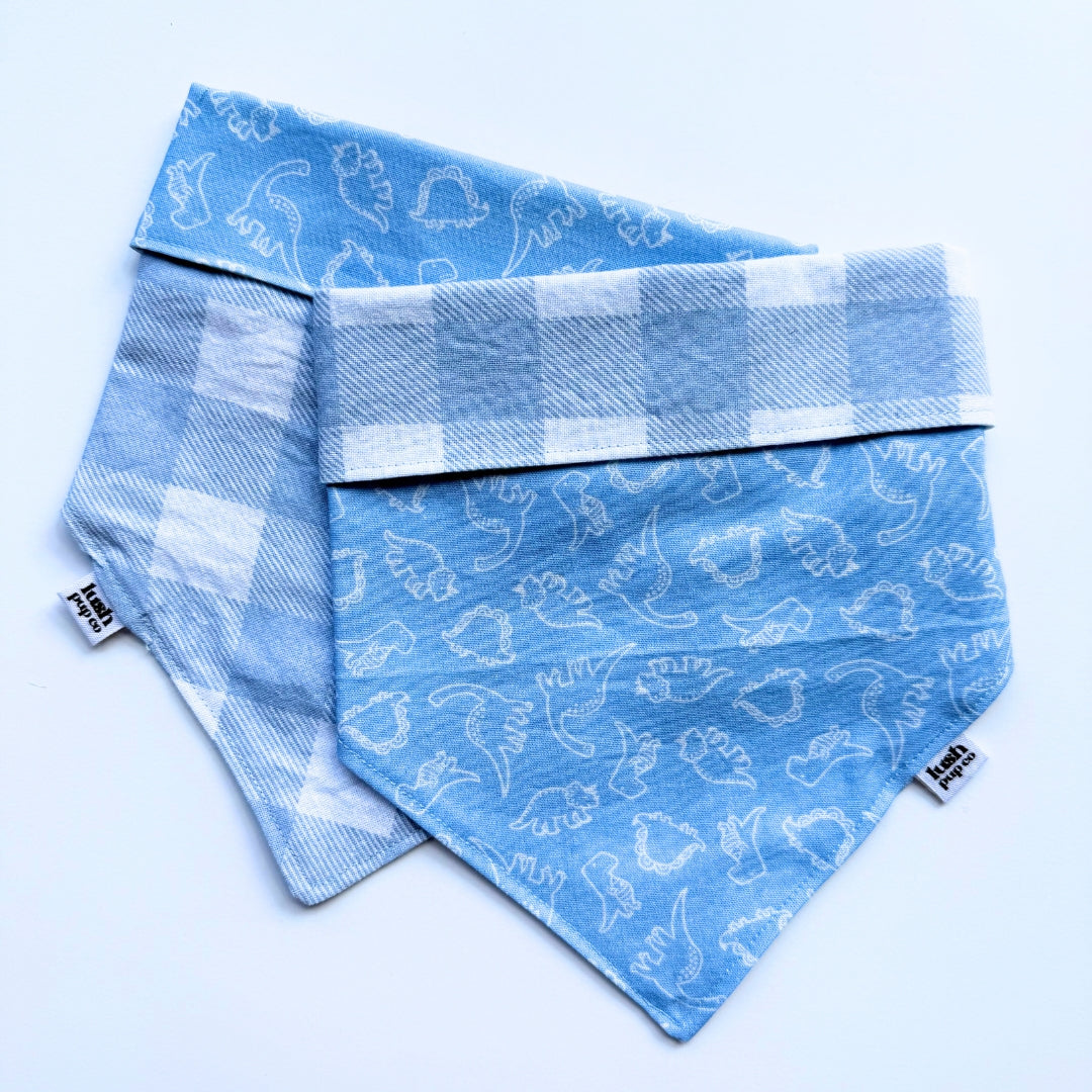 Dino Party Reversible Dog Bandana