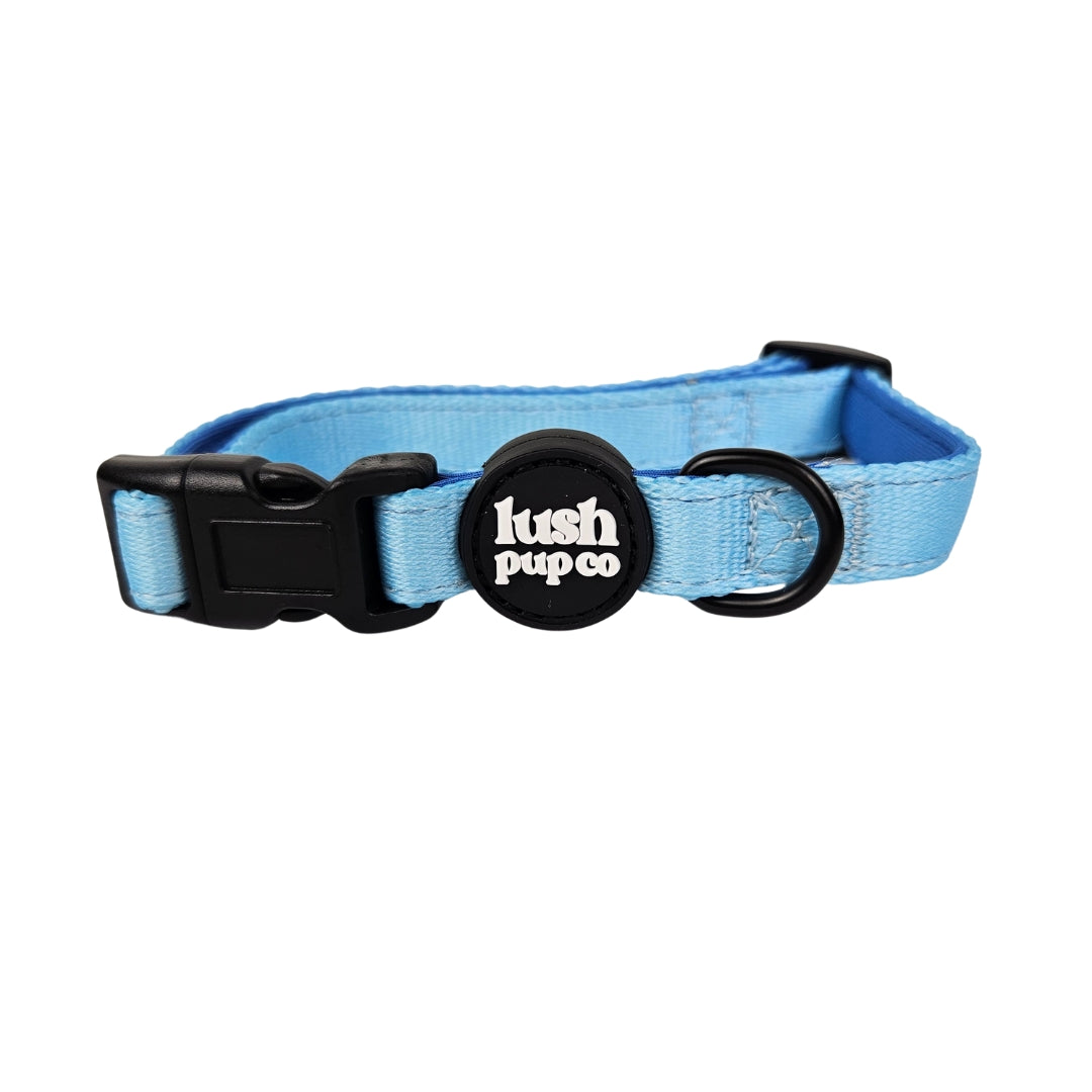 Winter Breeze Blue Collar