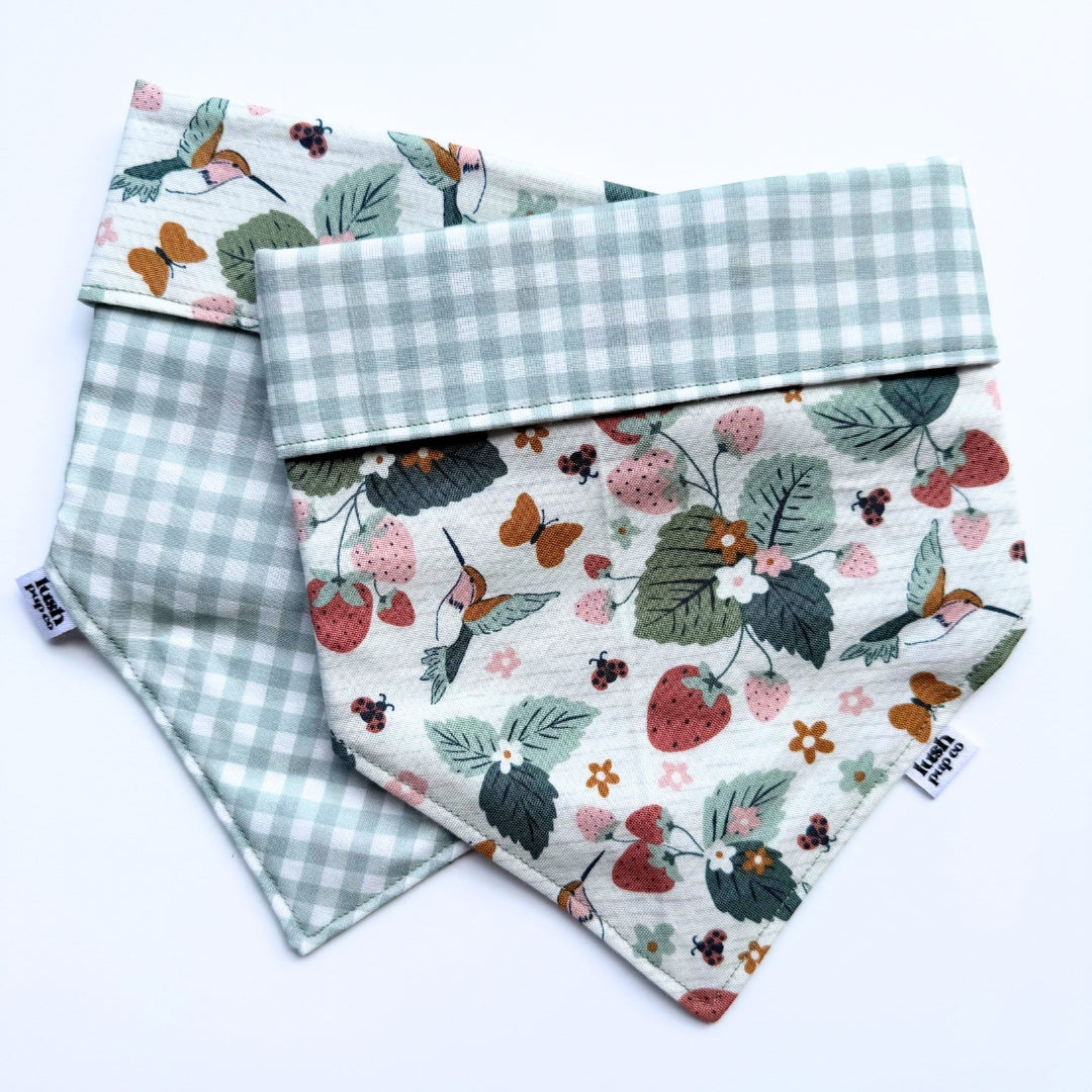 Sweet Hummingbird Reversible Dog Bandana