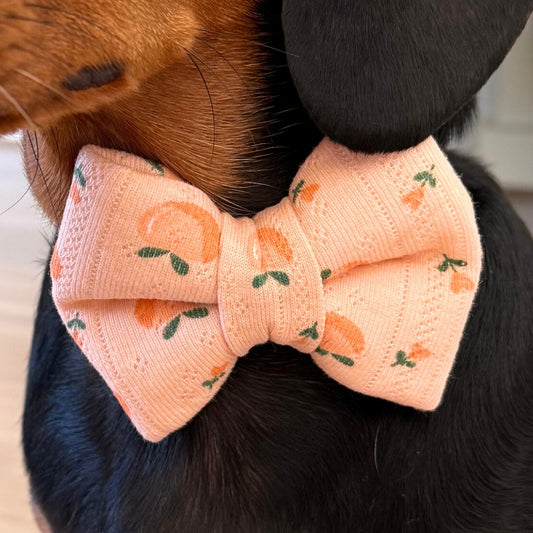 Peaches Dog Bow