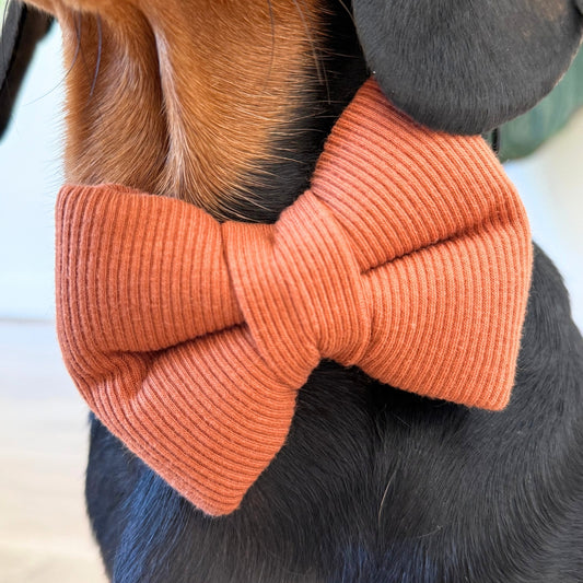 Rust Rib Dog Bow