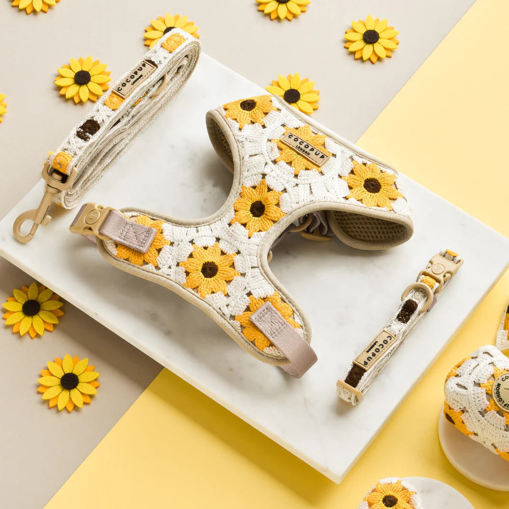 Sunflower Patch Collar