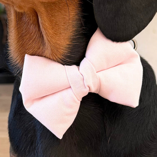 Baby Pink Dog Bow