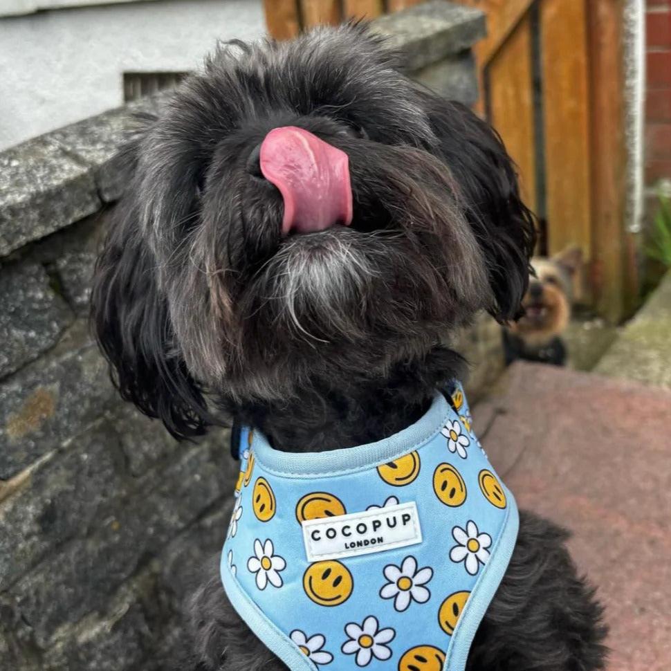 Smiley Pawty Tent Adjustable Harness