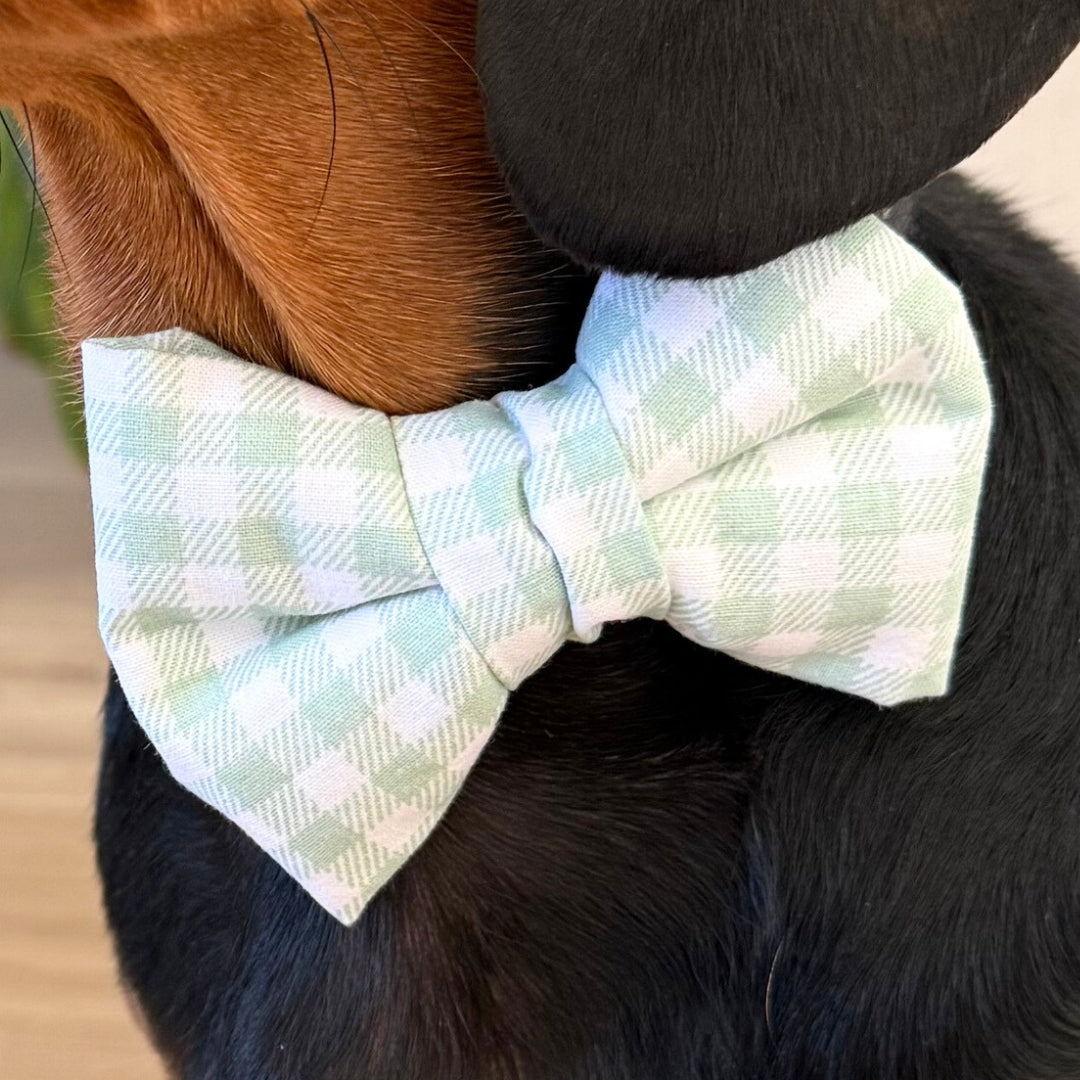 Mint Gingham Dog Bow