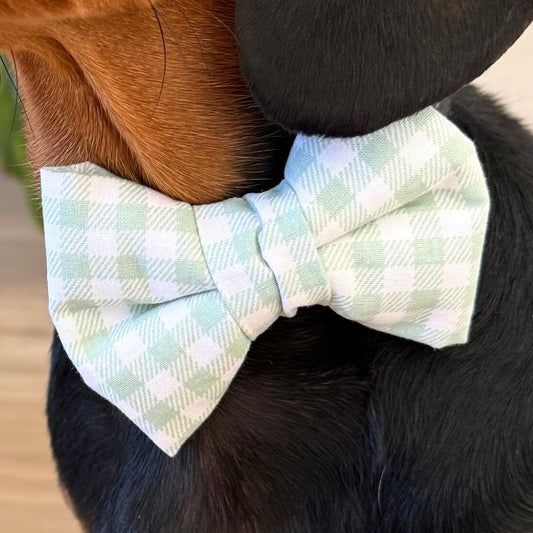 Mint Gingham Dog Bow