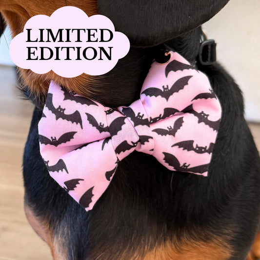 Limited Edition Bats Dog Bow