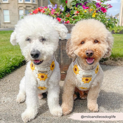 Sunflower Patch Adjustable Harness