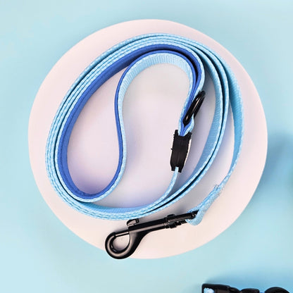 Winter Breeze Blue Leash