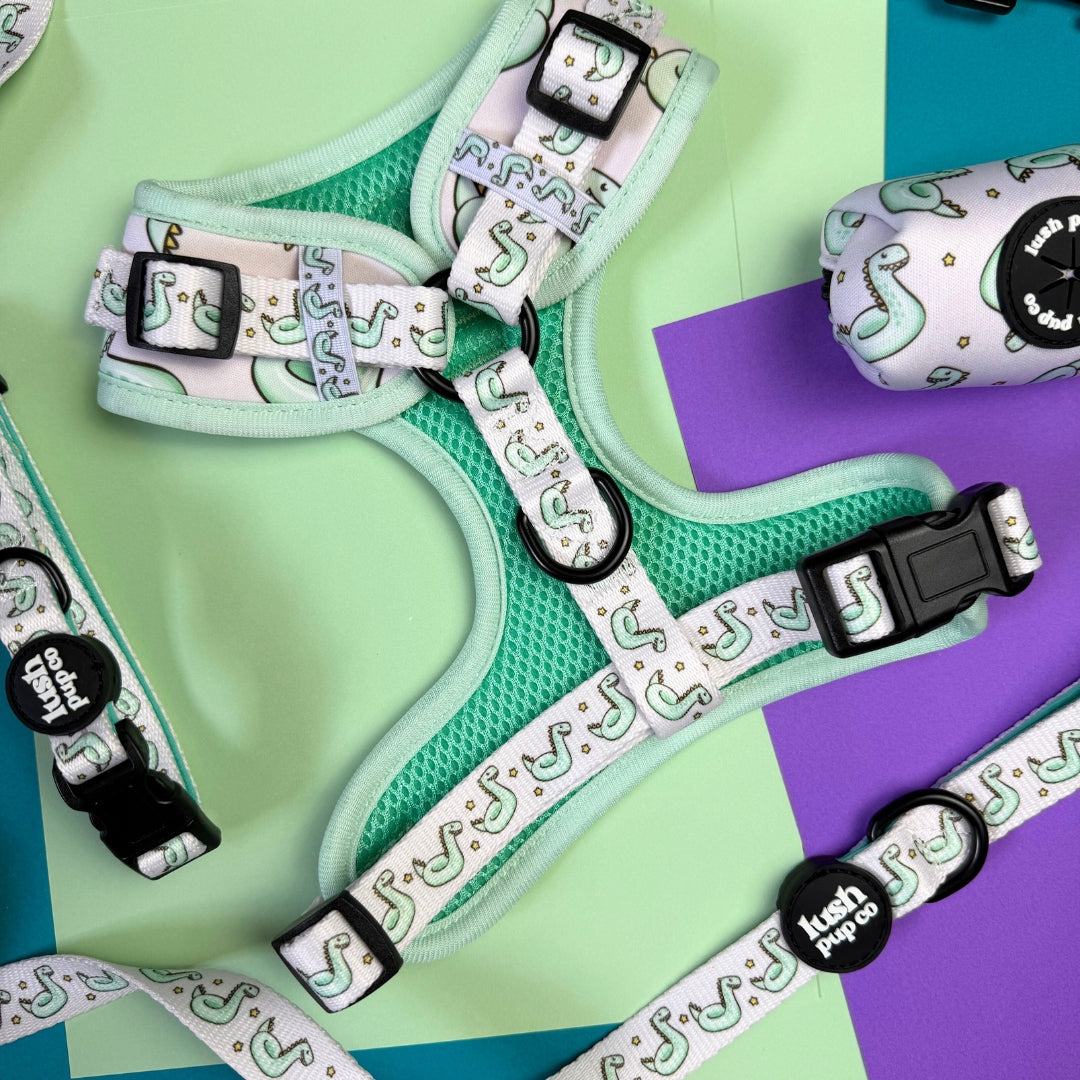 Dino Dip Adjustable Harness
