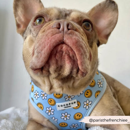 Smiley Pawty Tent Adjustable Harness