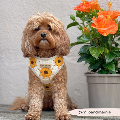Sunflower Patch Adjustable Harness