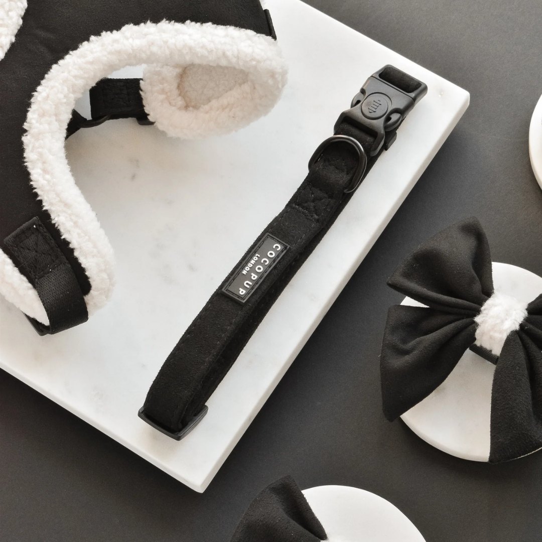 Black Aviator Collar