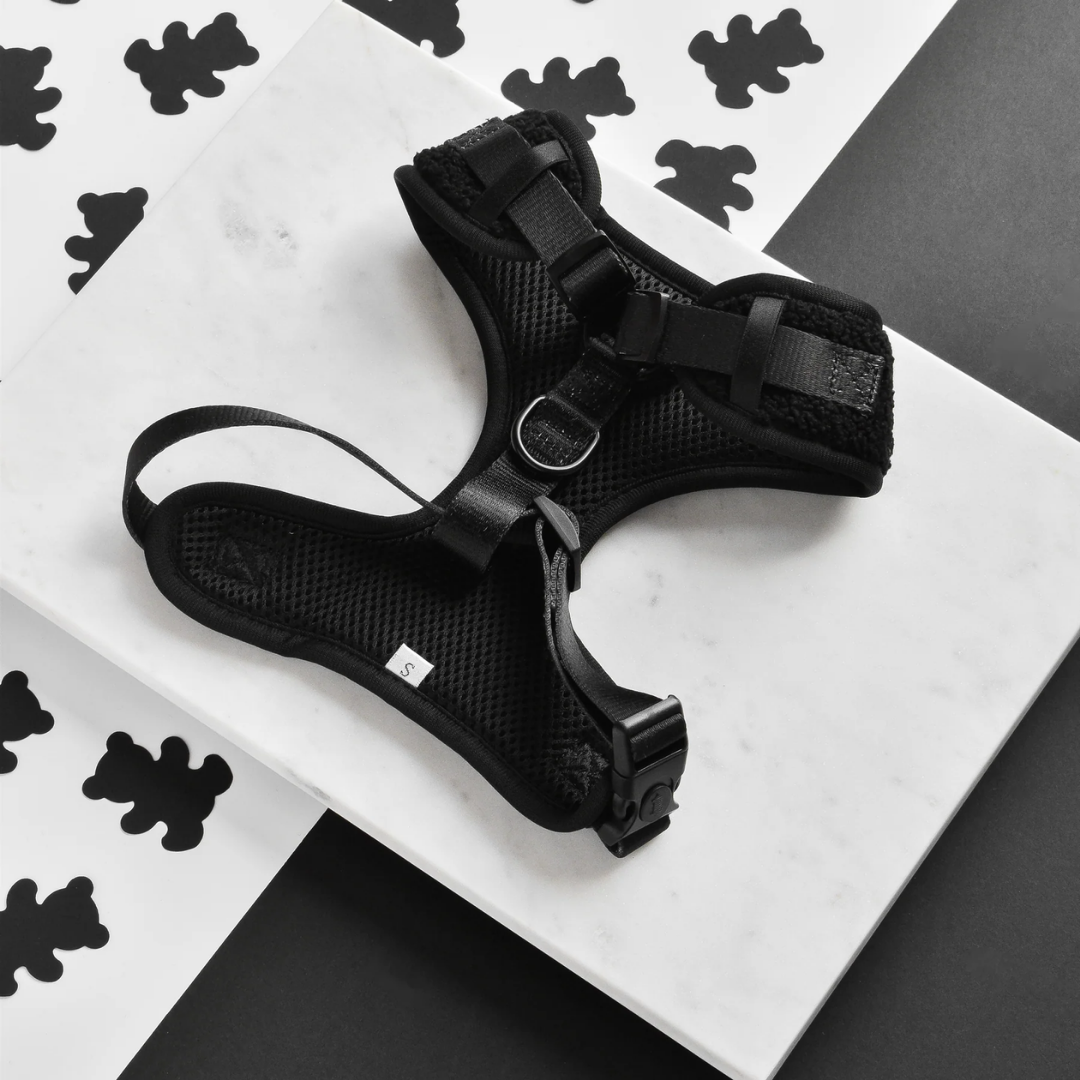Baloo Teddy Adjustable Neck Harness