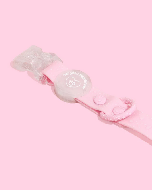 Cotton Candy Waterproof Collar
