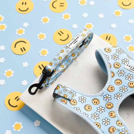 Smiley Pawty Tent Leash
