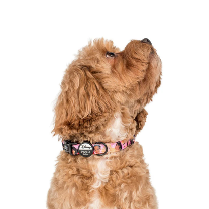 Disney Princesses Dog Collar