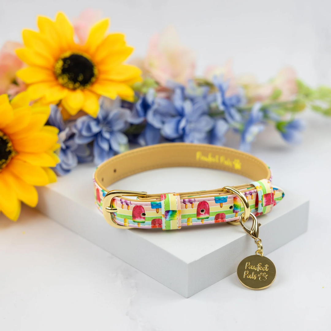 Dogs Just Wanna Have Sun Ice Block Dog Collar