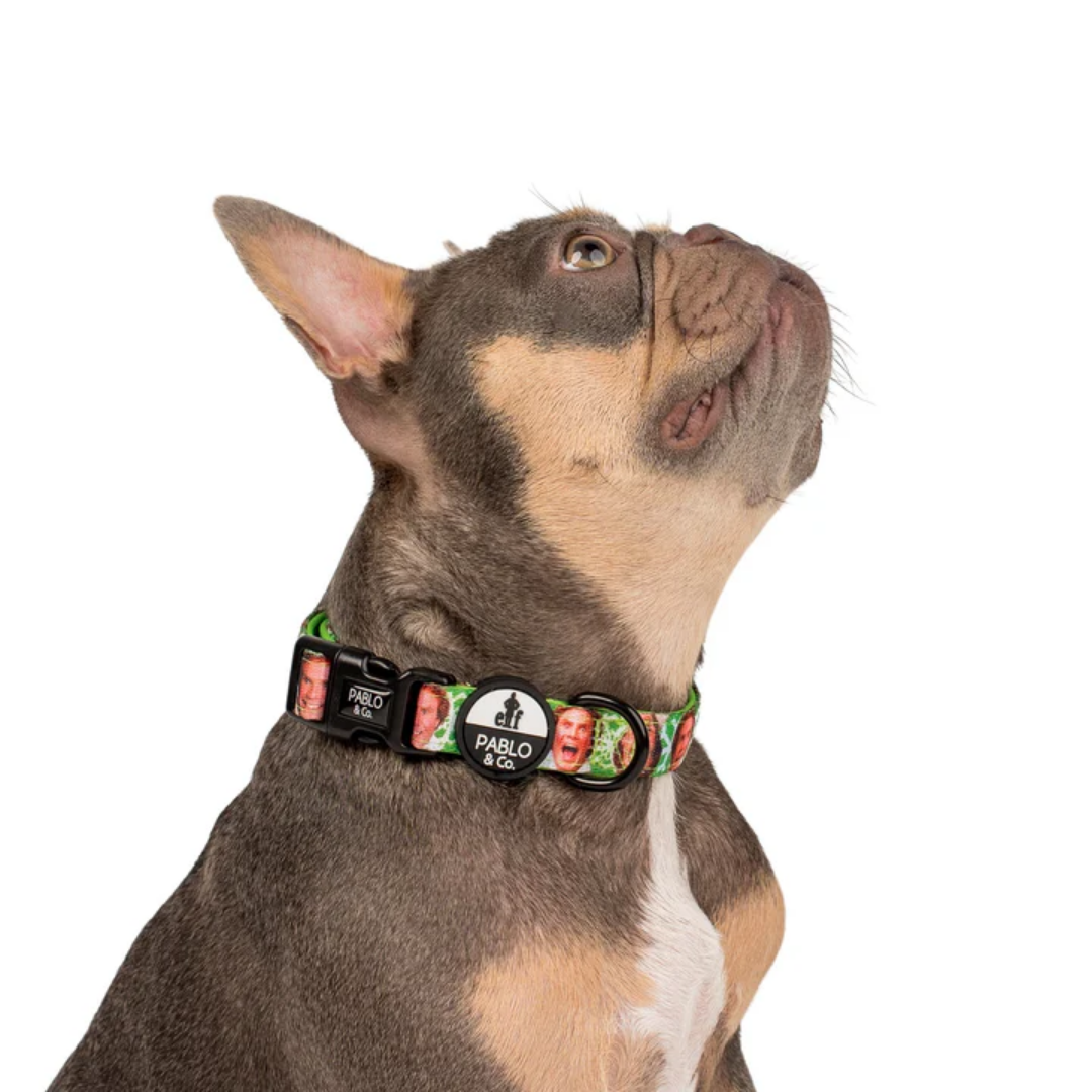Elf OMG! SANTA! Dog Collar