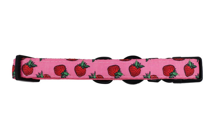 Strawberries Dog Collar