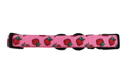 Strawberries Dog Collar
