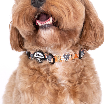Disney Lady and the Tramp Dog Collar