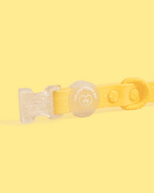 Limoncello Waterproof Collar