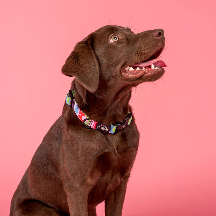 Saint's Sweater Dog Collar