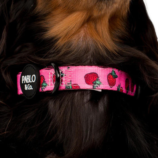 Strawberries Dog Collar