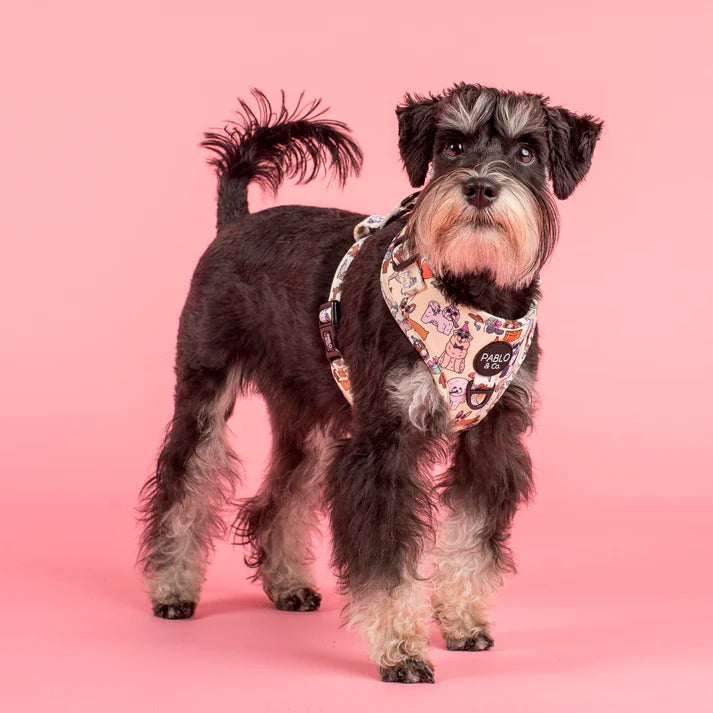 Party Dawgs Adjustable Dog Harness