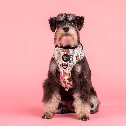 Party Dawgs Adjustable Dog Harness
