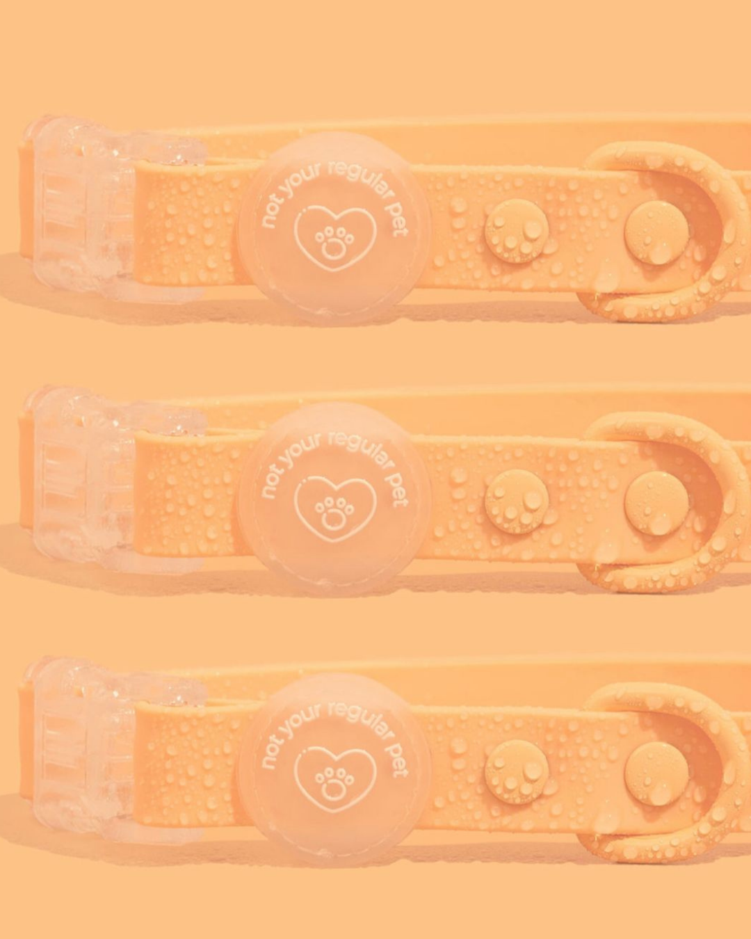 Tangerine Waterproof Collar