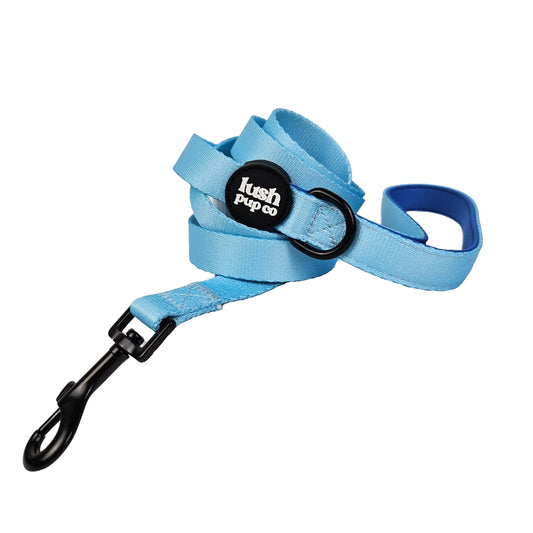 Winter Breeze Blue Leash