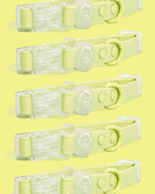 Wasabi Waterproof Collar