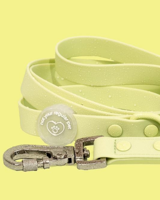 Wasabi Waterproof Leash