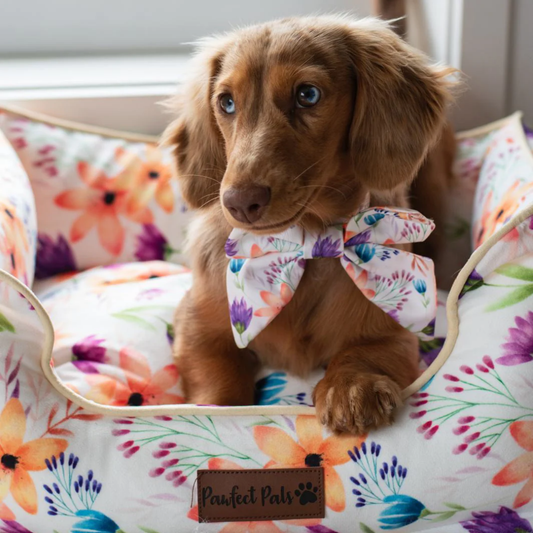 You Grow Girl Snuggle Bud Dog Bed